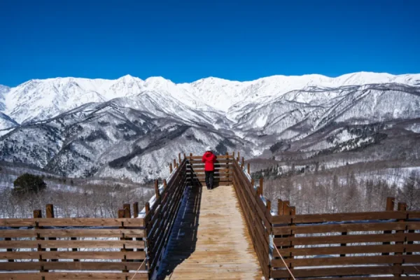Hakuba Iwatake Mountain Resort - Khu nghỉ dưỡng trong mơ