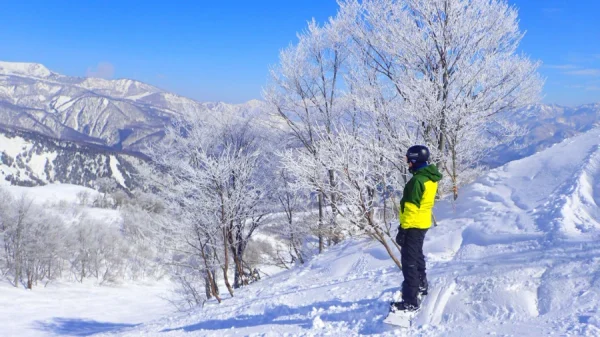 Happo One Ski Resort: Trái tim của Hakuba Village