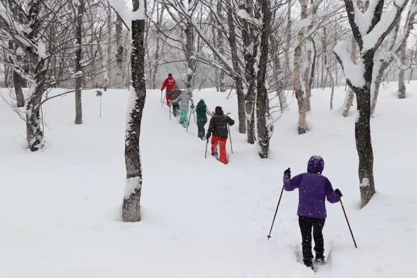 Niseko Moiwa Ski Resort: Viên ngọc ẩn mình giữa thiên đường tuyết trắng Niseko Moiwa Ski Resort: Viên ngọc ẩn mình giữa thiên đường tuyết trắng