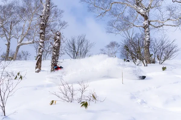 Niseko Moiwa Ski Resort: Viên ngọc ẩn mình giữa thiên đường tuyết trắng Niseko Moiwa Ski Resort: Viên ngọc ẩn mình giữa thiên đường tuyết trắng