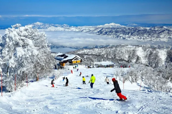Nozawa Onsen Snow Resort: Hòa mình vào thiên nhiên và văn hóa Nhật Bản