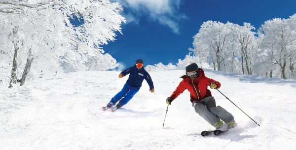 Nozawa Onsen Snow Resort: Hòa mình vào thiên nhiên và văn hóa Nhật Bản