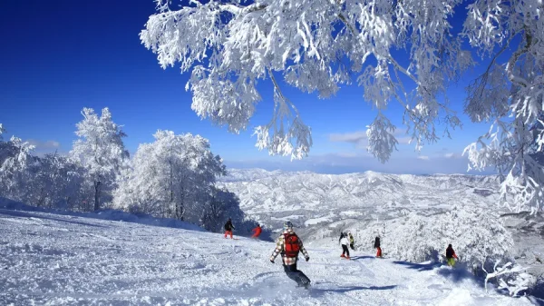 Nozawa Onsen Snow Resort: Hòa mình vào thiên nhiên và văn hóa Nhật Bản