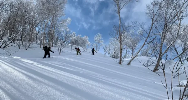 Tsugaike Kogen Ski Resort: Thiên đường tuyết trắng giữa lòng Nhật Bản Tsugaike Kogen Ski Resort: Thiên đường tuyết trắng giữa lòng Nhật Bản