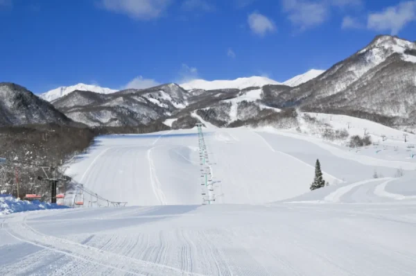Tsugaike Kogen Ski Resort: Thiên đường tuyết trắng giữa lòng Nhật Bản Tsugaike Kogen Ski Resort: Thiên đường tuyết trắng giữa lòng Nhật Bản