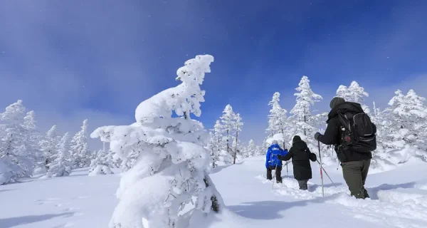 Shiga Kogen: Thiên đường tuyết trắng giữa lòng Nhật Bản Shiga Kogen: Thiên đường tuyết trắng giữa lòng Nhật Bản