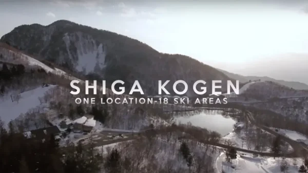 Shiga Kogen: Thiên đường tuyết trắng giữa lòng Nhật Bản