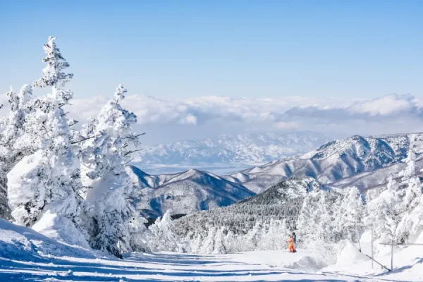 Shiga Kogen: Thiên đường tuyết trắng giữa lòng Nhật Bản Shiga Kogen: Thiên đường tuyết trắng giữa lòng Nhật Bản