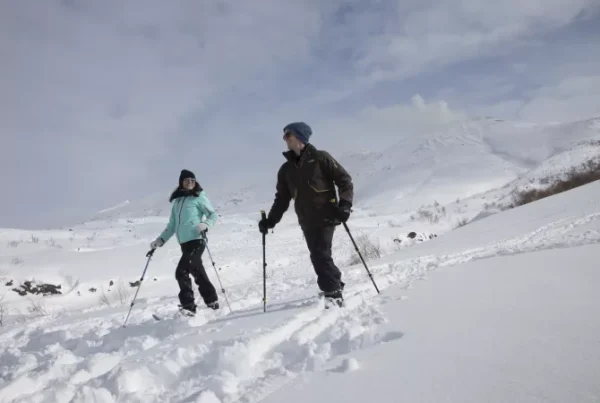 Furano Ski Resort: Thiên đường tuyết trắng giữa lòng Hokkaido