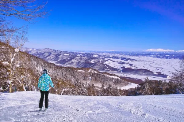 Furano Ski Resort: Thiên đường tuyết trắng giữa lòng Hokkaido