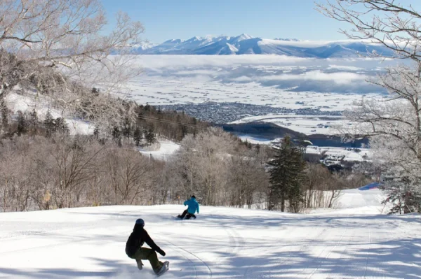 Furano Ski Resort: Thiên đường tuyết trắng giữa lòng Hokkaido