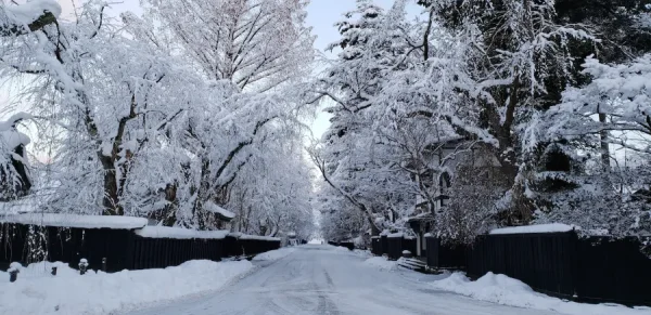 Khám phá vẻ đẹp của 15 ngôi làng cổ Nhật Bản mùa đông