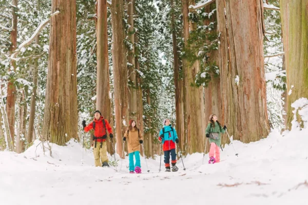 Togakushi Ski Resort - Trải nghiệm mùa đông Nhật Bản đích thực Togakushi Ski Resort - Trải nghiệm mùa đông Nhật Bản đích thực