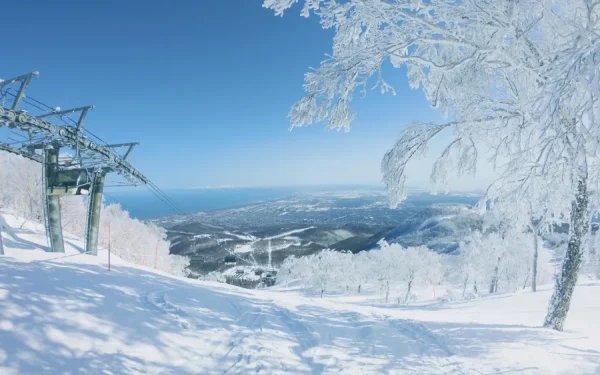 Du lịch Sapporo mùa đông