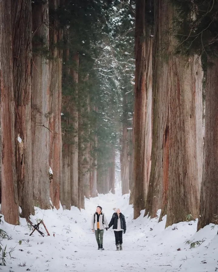 Togakushi Ski Resort - Trải nghiệm mùa đông Nhật Bản đích thực Togakushi Ski Resort - Trải nghiệm mùa đông Nhật Bản đích thực