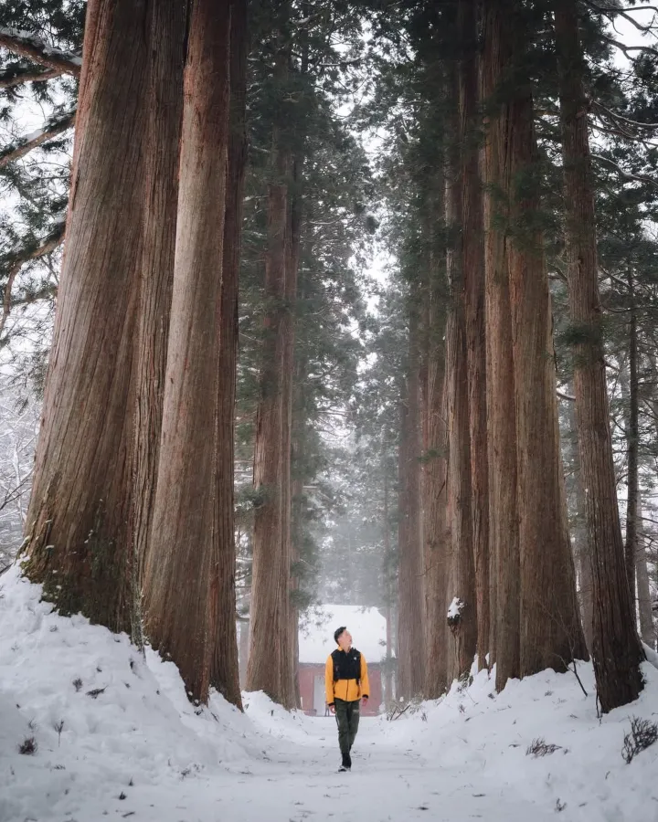 Togakushi Ski Resort - Trải nghiệm mùa đông Nhật Bản đích thực Togakushi Ski Resort - Trải nghiệm mùa đông Nhật Bản đích thực