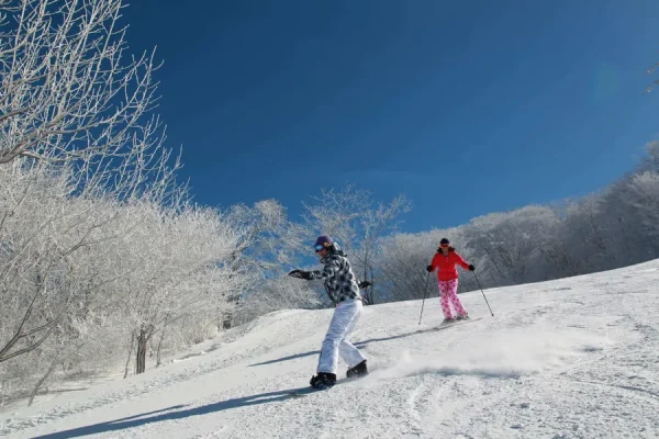 Karuizawa Prince Hotel Snow Resort: Thiên đường ở Karuizawa