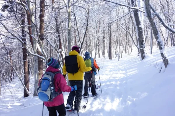 Togakushi Ski Resort - Trải nghiệm mùa đông Nhật Bản đích thực Togakushi Ski Resort - Trải nghiệm mùa đông Nhật Bản đích thực