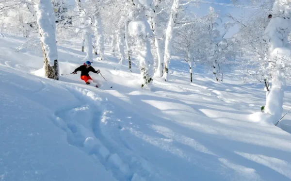 Sapporo Kokusai Ski Resort: Thiên đường tuyết trắng giữa lòng Hokkaido