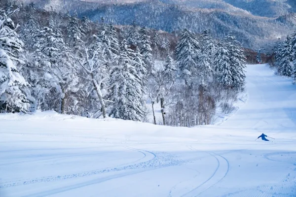 Sapporo Kokusai Ski Resort: Thiên đường tuyết trắng giữa lòng Hokkaido
