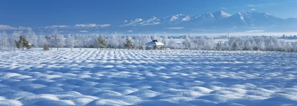 Furano Ski Resort: Thiên đường tuyết trắng giữa lòng Hokkaido