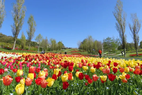 Khám Phá Awaji Island - Hòn Đảo Thiên Đường Của Nhật Bản