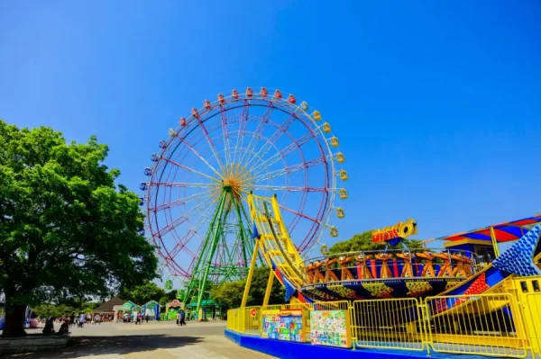 Hitachi Seaside Park: Bức tranh thiên nhiên tuyệt mỹ của Nhật Bản