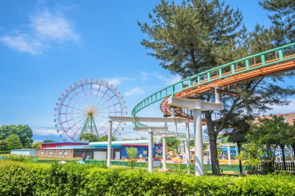 Hitachi Seaside Park: Bức tranh thiên nhiên tuyệt mỹ của Nhật Bản