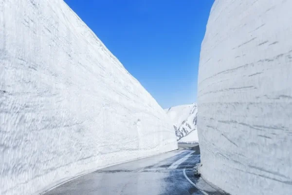 Tateyama Kurobe Alpine: Chạm tay vào những bức tường tuyết khổng lồ Tateyama Kurobe Alpine: Chạm tay vào những bức tường tuyết khổng lồ