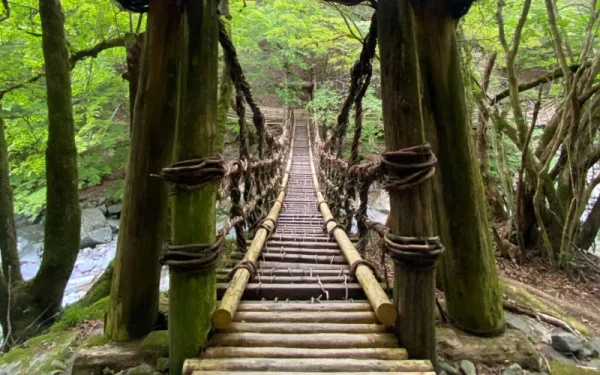 Top 13 cảnh đẹp Nhật Bản mùa xuân "hiếm thấy" Thung lũng Iya