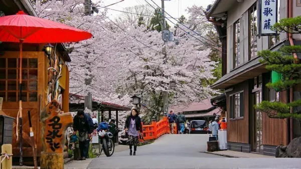 Yoshino Mountain: Những trải nghiệm tuyệt vời trên ngọn núi hoa anh đào Yoshino Mountain: Những trải nghiệm tuyệt vời trên ngọn núi hoa anh đào