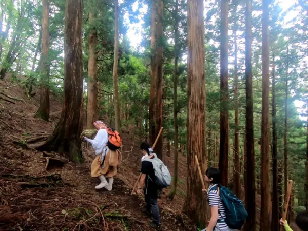 Yoshino Mountain: Những trải nghiệm tuyệt vời trên ngọn núi hoa anh đào Yoshino Mountain: Những trải nghiệm tuyệt vời trên ngọn núi hoa anh đào