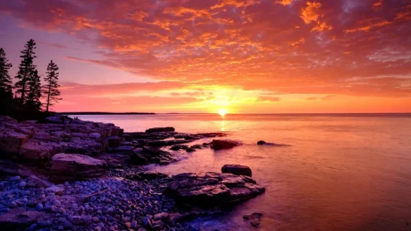 Khám Phá Awaji Island - Hòn Đảo Thiên Đường Của Nhật Bản