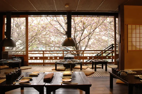 Meguro River: Con đường hoa anh đào rực rỡ nhất Tokyo