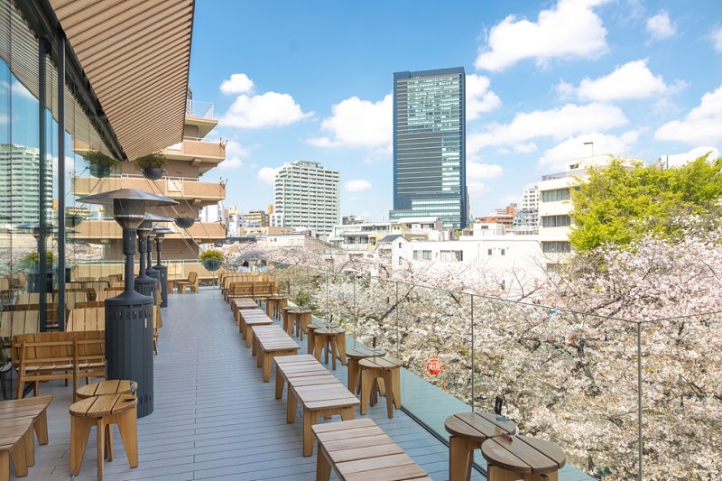 Lễ hội ngắm hoa Hanami