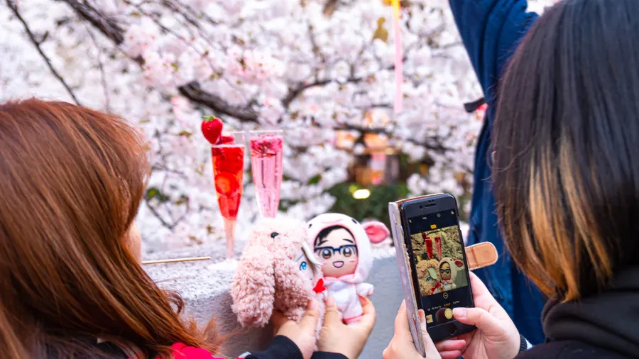 Lễ hội ngắm hoa Hanami