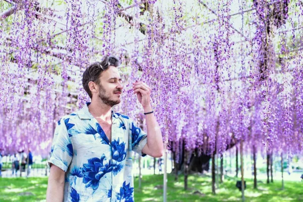 Ashikaga Flower Park: Chiêm ngưỡng vườn hoa tử đằng đẹp nhất Nhật Bản