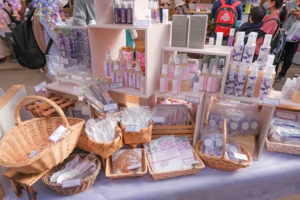 Ashikaga Wisteria Festival: Bản Giao Hưởng Sắc Tím Của Mùa Xuân Nhật Bản