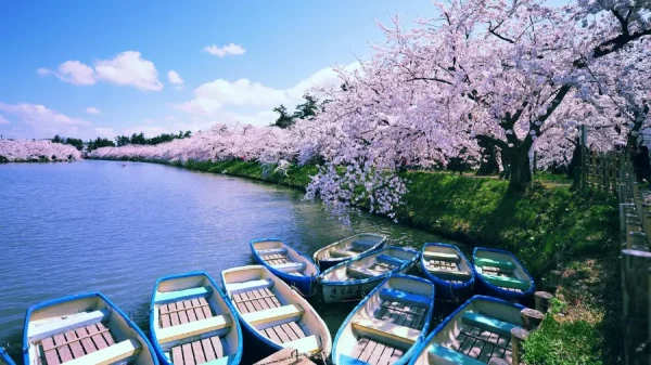 Hirosaki Park: Bản giao hưởng giữa lịch sử, thiên nhiên và văn hóa