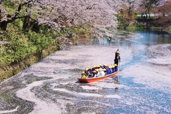 Hirosaki Park: Bản giao hưởng giữa lịch sử, thiên nhiên và văn hóa