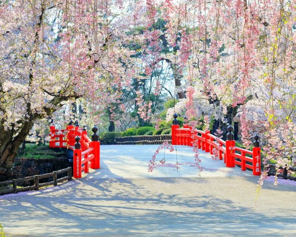 Hirosaki Park: Bản giao hưởng giữa lịch sử, thiên nhiên và văn hóa