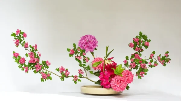 Nghệ thuật cắm hoa Ikebana: Hòa Điệu Tâm Hồn Với Thiên Nhiên