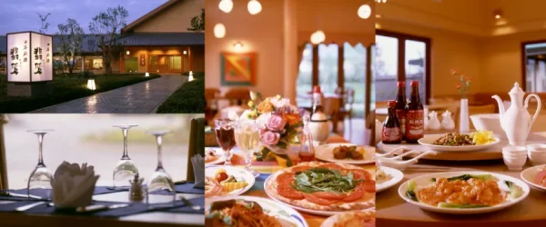 Nabana no Sato: Bản giao hưởng ánh sáng giữa lòng Nhật Bản