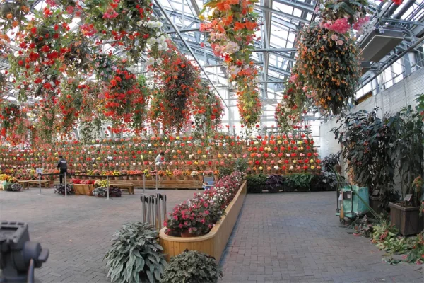 Nabana no Sato: Bản giao hưởng ánh sáng giữa lòng Nhật Bản