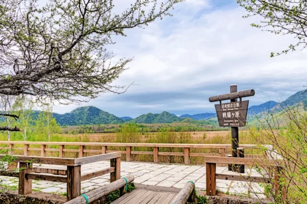 Đi Nikko Tự Túc: Hành Trình Khám Phá Thiên Nhiên Hùng Vĩ 