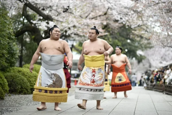 Vật Sumo: Môn Thể Thao Quốc Hồn Của Nhật Bản Vật Sumo: Môn Thể Thao Quốc Hồn Của Nhật Bản