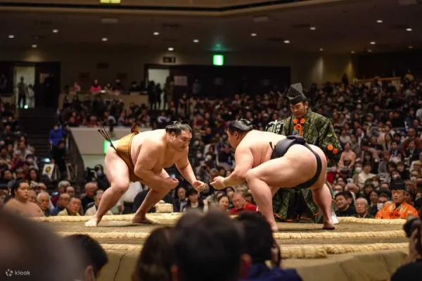 Vật Sumo: Môn Thể Thao Quốc Hồn Của Nhật Bản Vật Sumo: Môn Thể Thao Quốc Hồn Của Nhật Bản