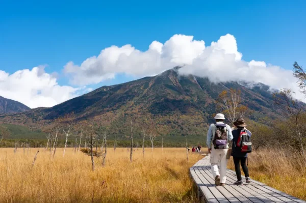 Đi Nikko Tự Túc: Hành Trình Khám Phá Thiên Nhiên Hùng Vĩ 