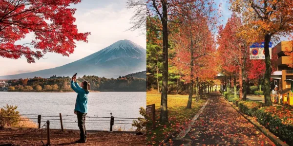 Kinh Nghiệm du lịch Hokkaido Tự Túc