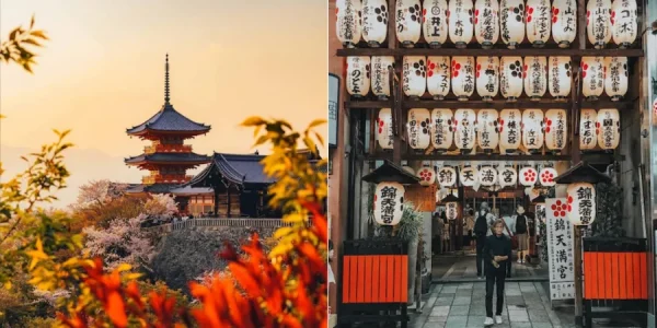 Đi Kyoto Tự Túc: Hành Trình Đắm Mình Trong Cố Đô Ngàn Năm